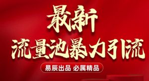 最新“流量池”无门槛暴力引流(全网首发)日引500+-康仁安资源