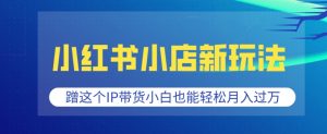 小红书小店新玩法，蹭这个IP带货，小白也能轻松月入过W【揭秘】-康仁安资源