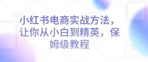 小红书电商实战方法，让你从小白到精英，保姆级教程-康仁安资源