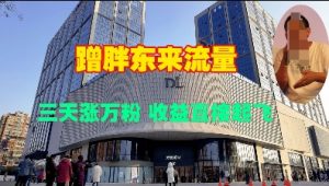 蹭胖东来流量，三天涨万粉，收益直接起飞-康仁安资源