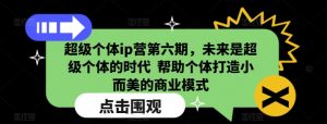 超级个体ip营第六期,未来是超级个体的时代 帮助个体打造小而美的商业模式-康仁安资源