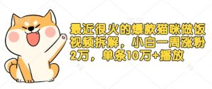 最近很火的爆款猫咪做饭视频拆解，小白一周涨粉2万，单条10万+播放(附保姆级教程)-康仁安资源