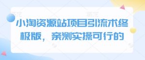 小淘资源站项目引流术终极版，亲测实操可行的-康仁安资源