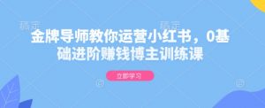 金牌导师教你运营小红书，0基础进阶赚钱博主训练课-康仁安资源