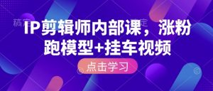 IP剪辑师内部课，涨粉跑模型+挂车视频-康仁安资源