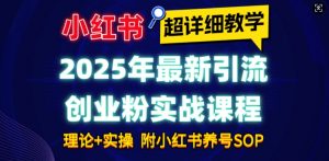 2025年最新小红书引流创业粉实战课程【超详细教学】小白轻松上手，月入1W+，附小红书养号SOP-康仁安资源