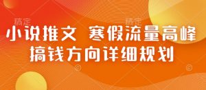 小说推文 寒假流量高峰 搞钱方向详细规划-康仁安资源