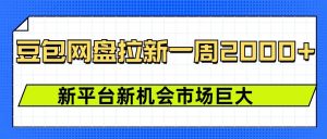 豆包网盘拉新，一周2k，新平台新机会-康仁安资源
