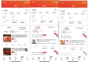 2025最新京东蓝海项目，0 门槛日入 1k+，小白宝妈轻松上手【揭秘】-康仁安资源