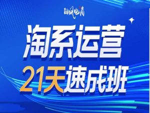 淘系运营21天速成班35期，年前最后一波和2025方向-康仁安资源
