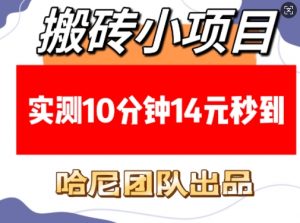 搬砖小项目,实测10分钟14元秒到,每天稳定几张(赠送必看稳定)-康仁安资源