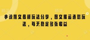小说推文最新玩法分享，图文搬运连怼玩法，每天稳定多张收益-康仁安资源