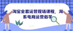 淘宝全套运营现场课程，淘系电商运营必学-康仁安资源