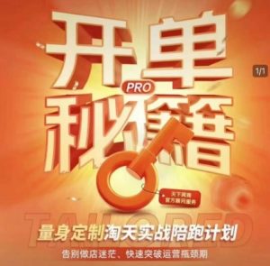 淘宝开单秘籍PRO，量身定制淘天实战陪跑计划，告别做店迷茫、快速突破运营瓶颈期-康仁安资源