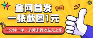 全网首发,一张截图1块钱,一分钟一单,多劳多得,收益无上限-康仁安资源