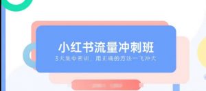 小红书流量冲刺班2025，最懂小红书的女人，快速教你2025年入局小红书-康仁安资源