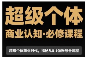 超级个体商业认知觉醒视频课,商业认知·必修课程揭秘从0-1账号全流程-康仁安资源