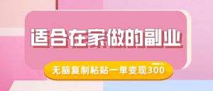 适合在家做的副业，小红书冷知识账号，无脑复制粘贴一单变现300-康仁安资源