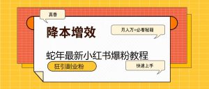 蛇年最新小红书爆粉教程，狂引副业粉，月入万+必看-康仁安资源