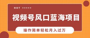 视频号风口蓝海项目，中老年人的流量密码，操作简单轻松月入过万-康仁安资源