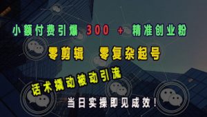 小额付费引爆 300 + 精准创业粉,零剪辑、零复杂起号,话术撬动被动引流,当日实操即见成效-康仁安资源