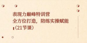 表现力巅峰特训营，全方位打造，陪练实操赋能（21节课）-康仁安资源