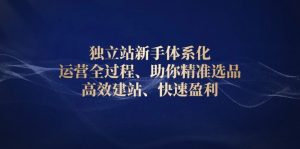独立站新手体系化 运营全过程,助你精准选品、高效建站、快速盈利-康仁安资源