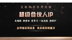 互联网项目天花板，超级合伙人IP，全网都在割韭菜，我来教你做镰刀【仅揭秘】-康仁安资源