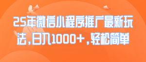 25年微信小程序推广最新玩法，日入1000+，轻松简单-康仁安资源