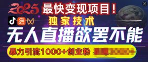 欲罢不能的无人直播引流，超暴力日引流1000+高质量精准创业粉-康仁安资源