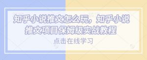 知乎小说推文怎么玩，知乎小说推文项目保姆级实战教程-康仁安资源