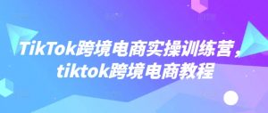 TikTok跨境电商实操训练营,tiktok跨境电商教程-康仁安资源