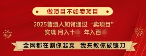 必看,做项目不如卖项目,2025普通人如何通过“卖项目”实现月入十个,年入百个-康仁安资源