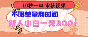 10秒一单，审核视频 ，不限单量时间，新人小白一天300+-康仁安资源