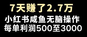 最赚钱项目之一，2025爆火，逆风翻盘！-康仁安资源
