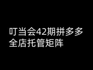 叮当会拼多多打爆班原创高阶技术第42期，拼多多全店托管矩阵-康仁安资源