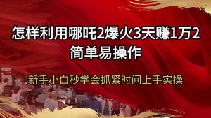 怎样利用哪吒2爆火3天赚1万2简单易操作新手小白秒学会抓紧时间上手实操-康仁安资源