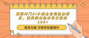 最新冷门AI小说全自动撸金项目，无风控单机单号日收益100+-康仁安资源
