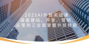 2025AI外贸实战课：涵盖建站、开发、营销, 从零到三全面掌握外贸技能-康仁安资源