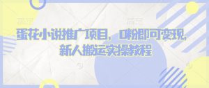 蛋花小说推文项目，0粉即可变现，新人搬运实操教程-康仁安资源
