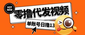 视频代发纯绿色项目，不用剪辑提供素材直接发布，0粉丝也能轻松日入50+-康仁安资源