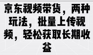 京东视频带货,两种玩法,批量上传视频,轻松获取长期收益-康仁安资源