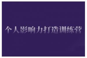 个人影响力打造训练营，掌握公域引流、私域运营、产品定位等核心技能，实现从0到1的个人IP蜕变-康仁安资源