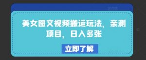 美女图文视频搬运玩法,亲测项目,日入多张-康仁安资源