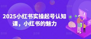 2025小红书实操起号认知课,小红书的魅力-康仁安资源