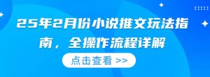 25年2月份小说推文玩法指南，全操作流程详解-康仁安资源