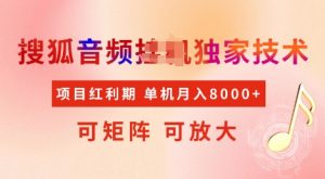全网首发搜狐音频挂JI独家技术，项目红利期，可矩阵可放大，稳定月入8k【揭秘】-康仁安资源