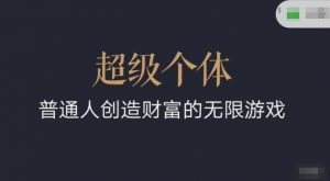 超级个体2024-2025翻盘指南，普通人创造财富的无限游戏-康仁安资源