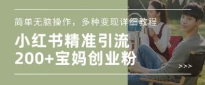 小红书混剪日引200+宝妈创业粉，简单无脑操作，多种变现详细教程-康仁安资源