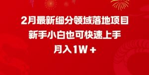 2月最新细分领域落地项目,新手小白也可快速上手,月入1W-康仁安资源